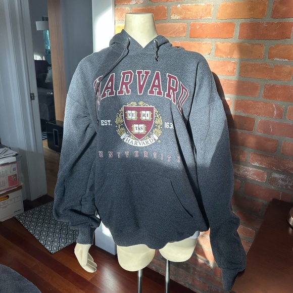 Gray Harvard Hoodie ~ Size XL - Picture 3 of 5